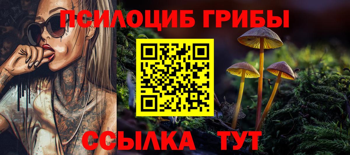 Псилоцибиновые грибы мухоморы Магадан