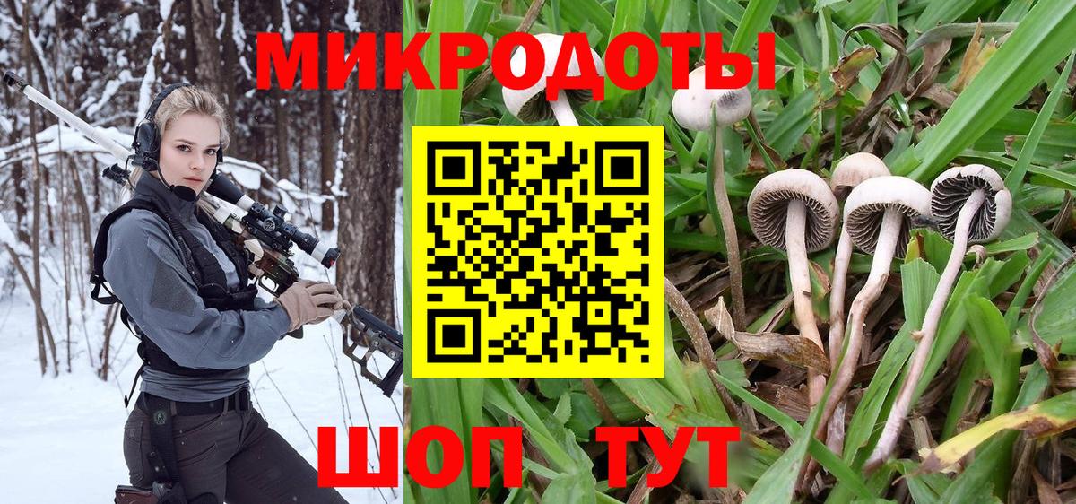 Галлюциногенные грибы Magic Shrooms  Псилоцибиновые грибы GOLDEN TEACHER  Магадан  Вход с VPN 